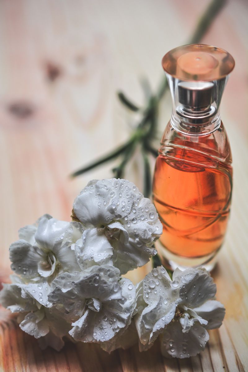 عطر سيجنتشر